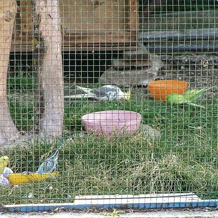 Studio In Stola *